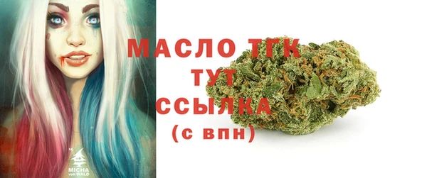 дживик Абаза