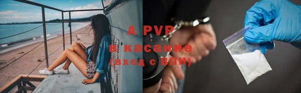 дживик Абаза
