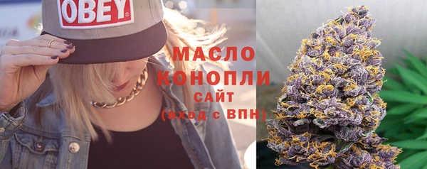дживик Абаза